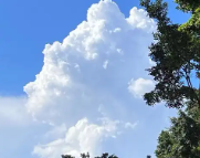 文安天气预报,文安7天天气预报,文安15天天气预报,文安天气查询